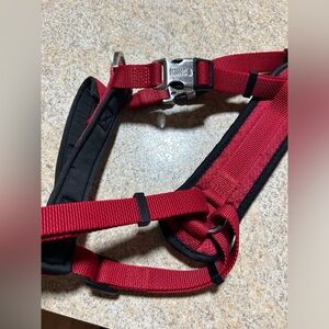 KONG heavy duty dog harness.